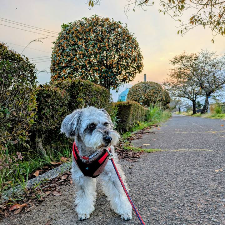 3c2febdd 8c78 4512 aa9a efd8a519995c 1762073700331