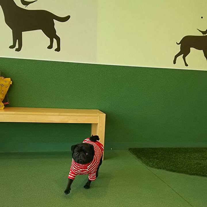 3c300437 ae34 4bf1 aa2a c0559fc75b7f 1540270004451