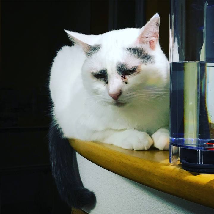 3c301b96 290b 4305 a9b0 1e69939d9f09 1562291678366