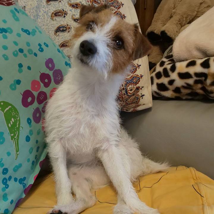 3c303754 57f7 43c2 bc7c 5301cc769cc0 1576623134898