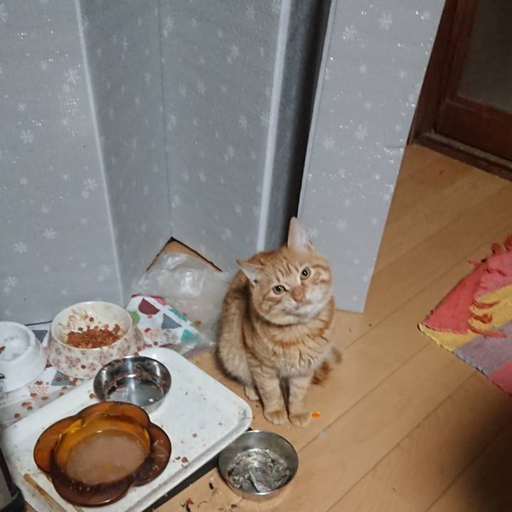 3c303a00 0493 4664 b94d 956d7e278339 1639342589610