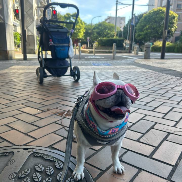 3c303dc4 7ba4 434e 90d2 fd010f907748 1752894114817