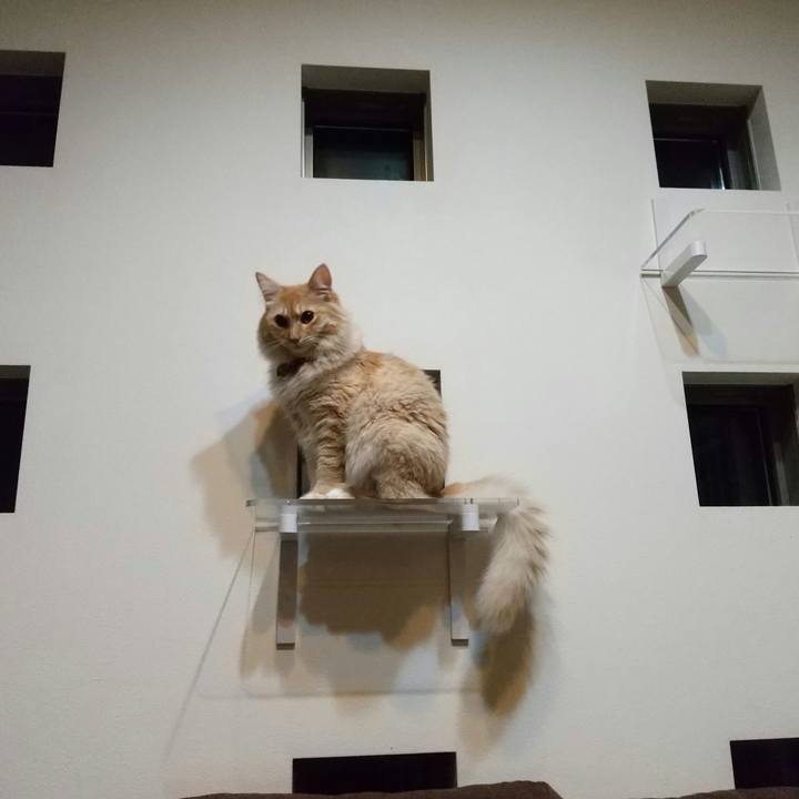 3c30625b a1fc 488d 8371 9fd0ccc9928a 1632748754916