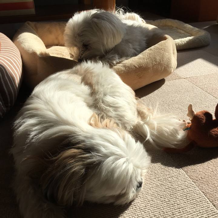 3c307b4a 008a 421a 8858 9a36c3944f91 1548295134535