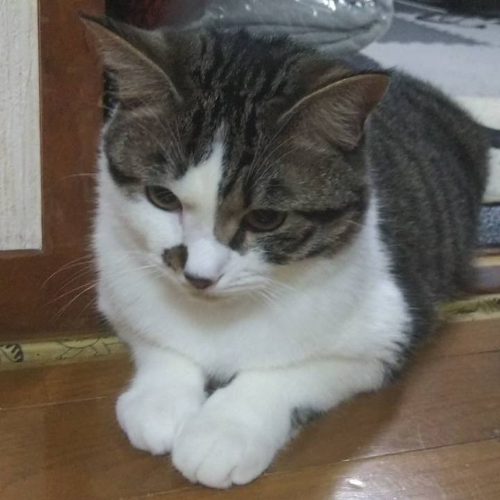 3c307f47 ea5b 4d5d a0d7 e9c0b39e0d35 1621855728128