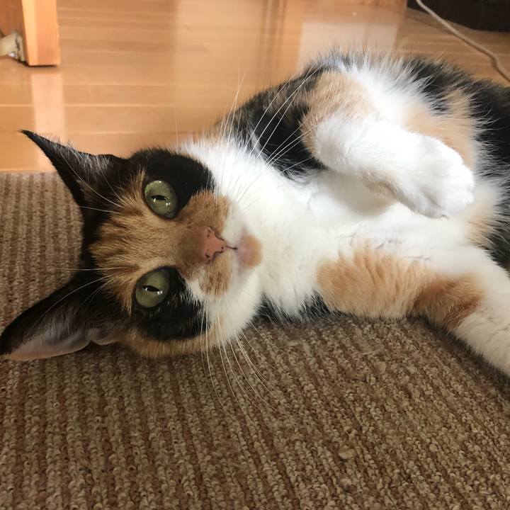 3c30808e 0fd9 4871 91fa 61f175edce00 1564962389025