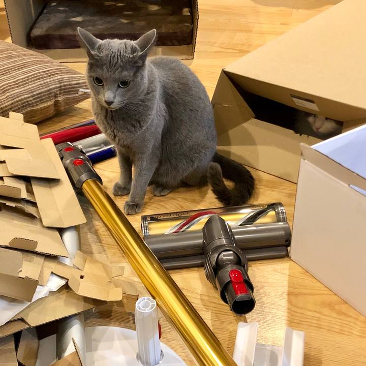 3c308a7d 5a3d 4c3a b961 8d2a23d6c543 1612270211032