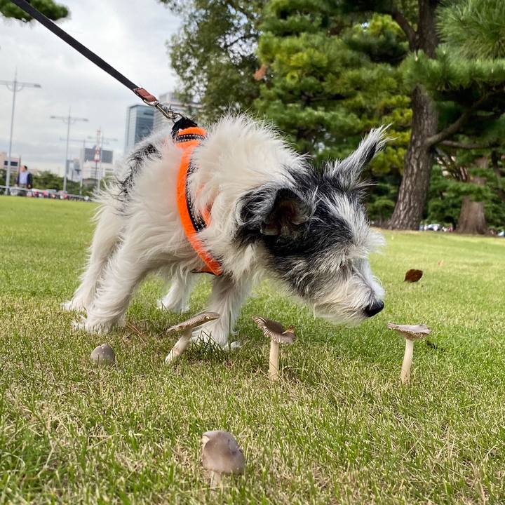 3c30aa9c fc69 4d41 8b78 286e4571f4dc 1572096716983