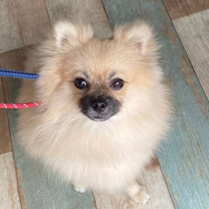 3c30d322 2fd7 4d4a b5d2 4844ebd624c0 1624840222080