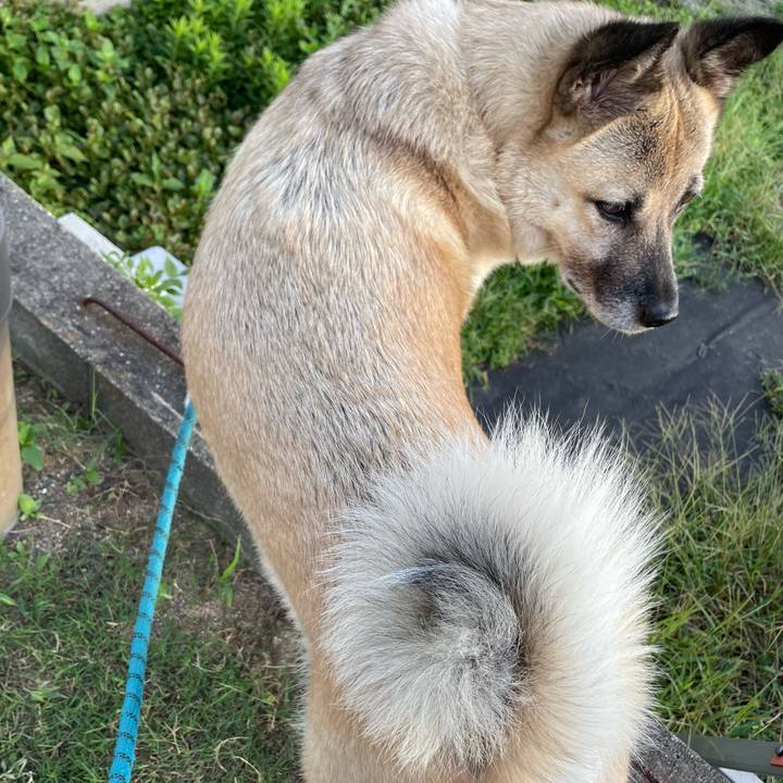 3c30fb68 ef83 4820 81b8 3945bb082908 1694178368076