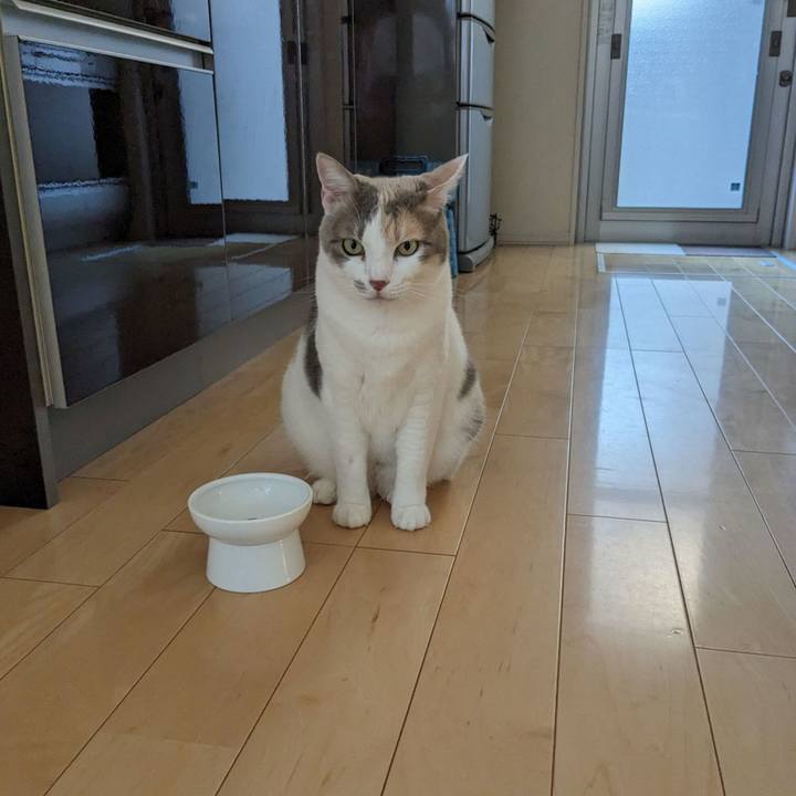 3c311efc 31de 4e65 8f0d 5e8e2c325364 1691041180215