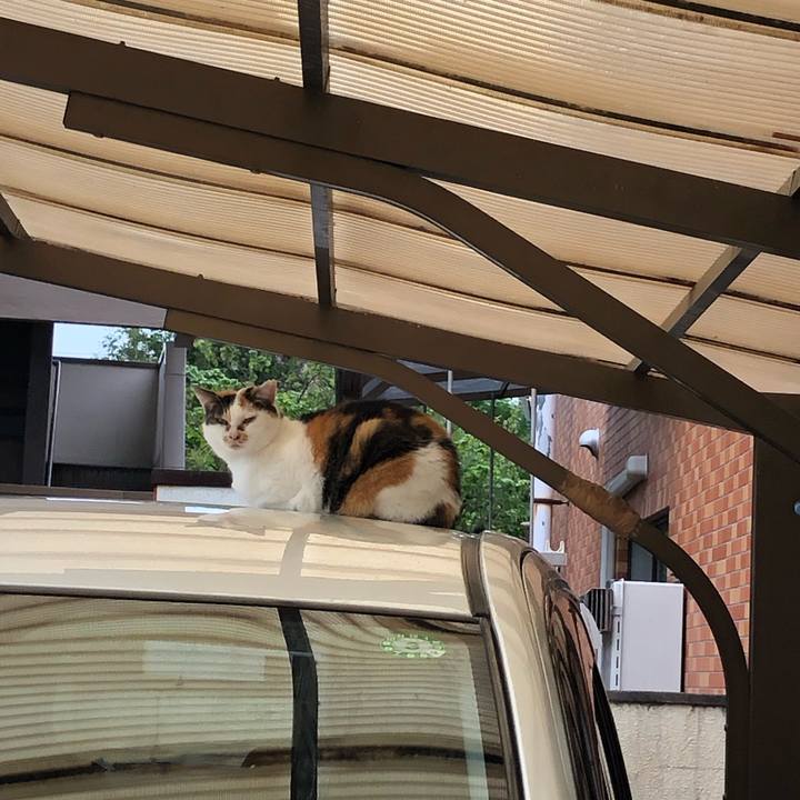 3c312888 b386 4cff 946e 01d693b13241 1603575933456