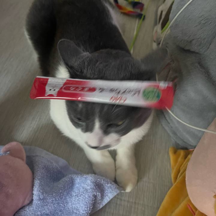 3c312be4 95e7 46df bc7e 001c787517d5 1755419511807