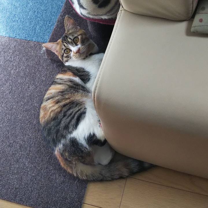 3c314627 2705 4432 8586 e6ba4e0e147f 1649218549967