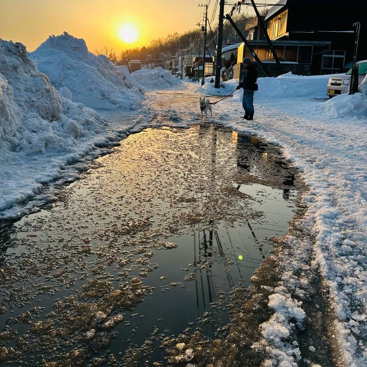 3c314cb2 85c9 422d 8d43 fc3226d06b6f 1771712005260