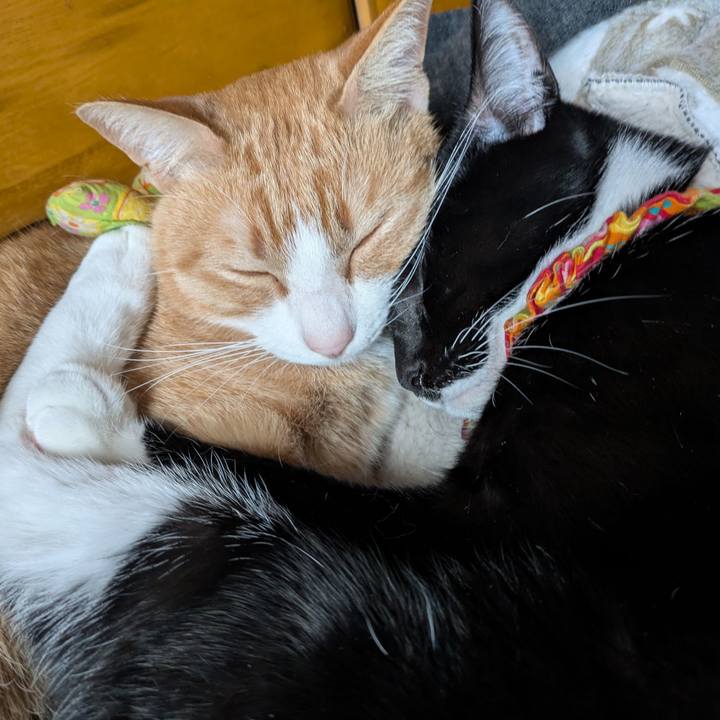 3c315398 b9c4 49d1 8aa6 9eae17dcf3c4 1768282455236