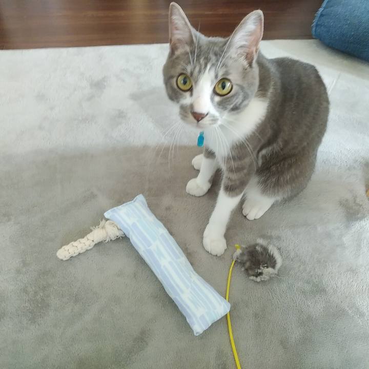 3c316b3e 73a1 4ffd a6c6 88448e2647ff 1591571094694