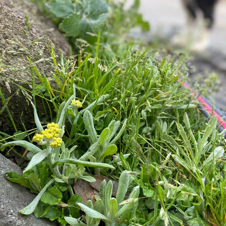 3c319c54 d96b 4f89 8294 4c59c6c98185 1615678232306