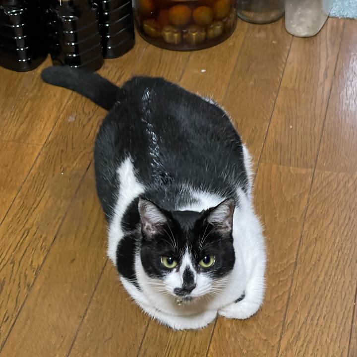 3c31c588 578a 4f16 aef2 6d83af6ecc71 1758841791246