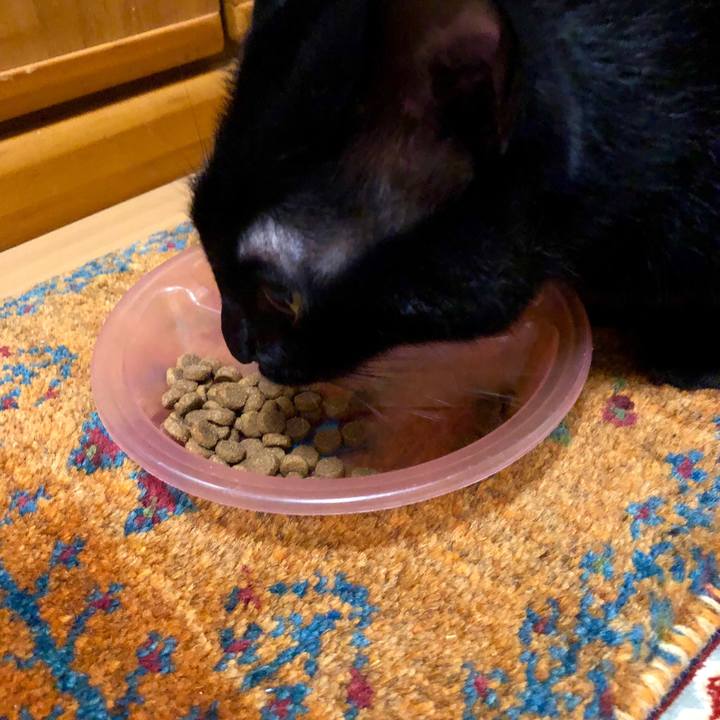 3c31ceb1 fbf8 40e9 bdf8 fd4a5967412a 1539427720020