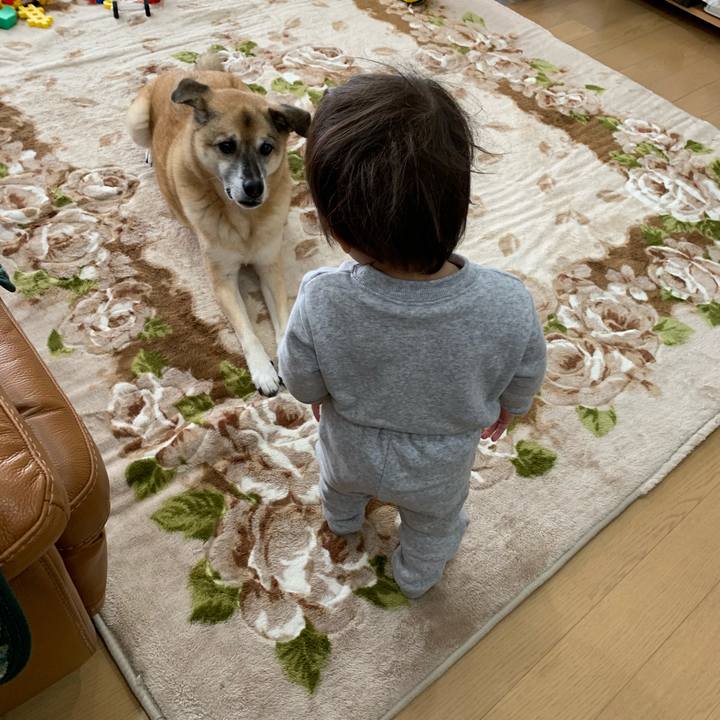 3c31d87f 0d49 4b3e b08d 045b22f4a4ec 1575074633602