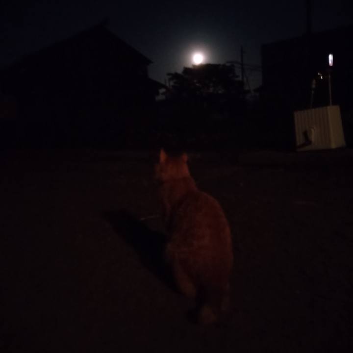 3c31dc29 ba62 4167 8fa5 b9bfc3da59ba 1685878887158