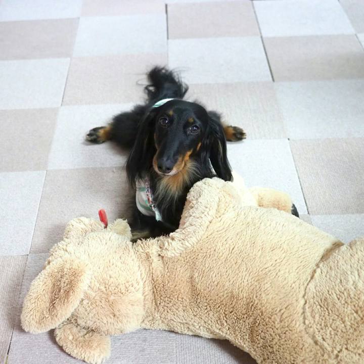 3c3207c2 9648 49a5 8a57 42cbd2210cde 1556603258034