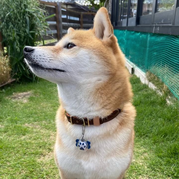 3c3223c2 405e 4d0d b40a 1b46cdcf6ff4 1604309469910