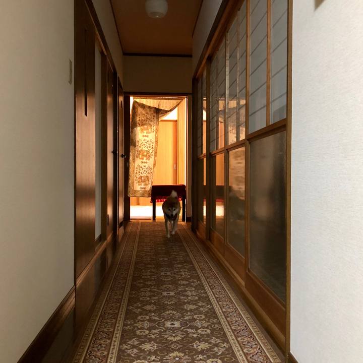 3c3225f7 46a4 4931 9d4d ddd4ff85b2fd 1537961056481