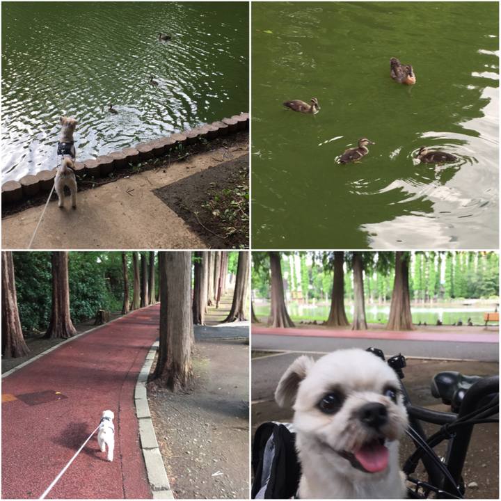 3c32349e 70e8 41e2 806a 8aa2fe919d52 1565775476762