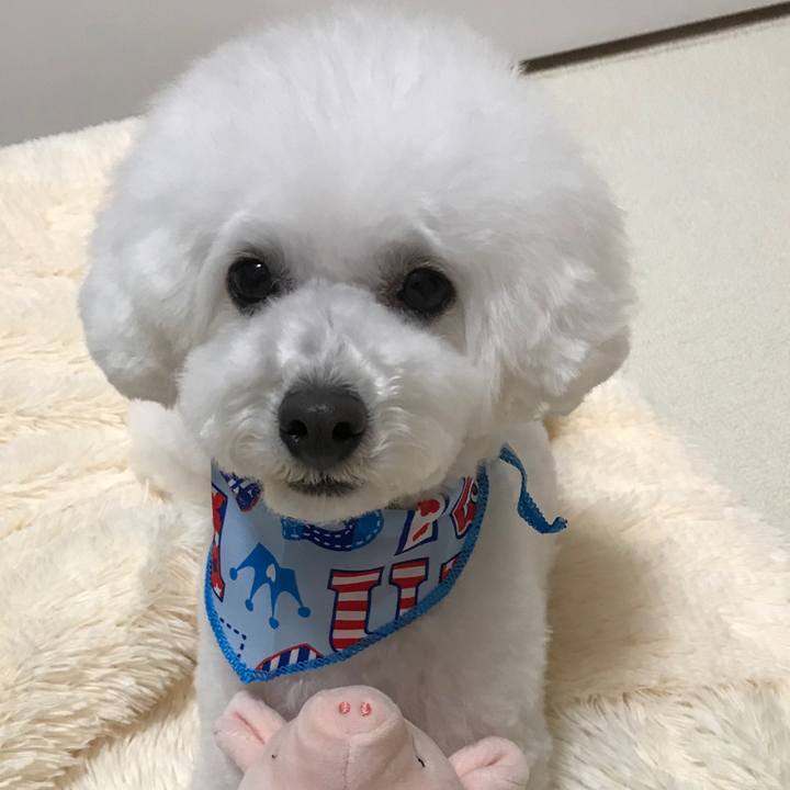 3c3239e3 6313 43d4 b601 347115c36d1d 1524039003696