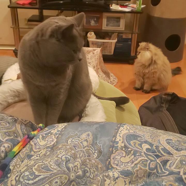 3c328478 2b3c 4a51 8518 d19c67c0d672 1576628074591