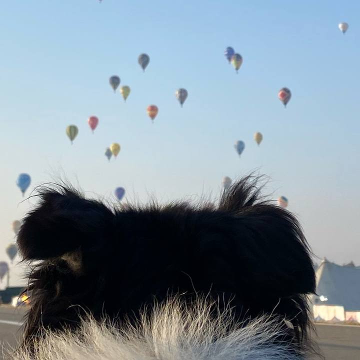 3c32b12d 727a 4e97 b20b c43c72b3c2dd 1698794445504