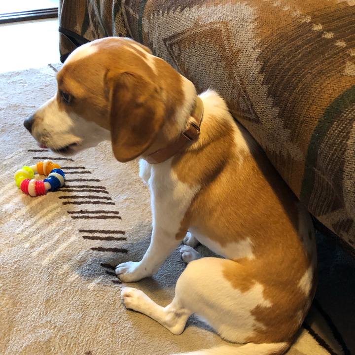 3c32c352 ba95 4d25 a4a5 64a8f33639c6 1560743399159