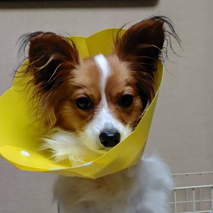 3c333b3c 81ff 41f2 b18b 13bc1ae6f649 1612534677696