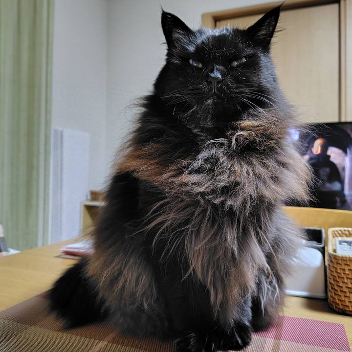 3c333f9f fc7e 408f b72c 817c2c4f016f 1733230408376