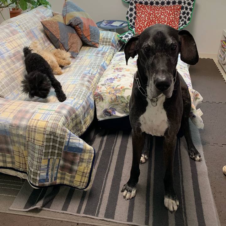 3c334500 6792 41c3 8572 b7db4d664094 1560291434086