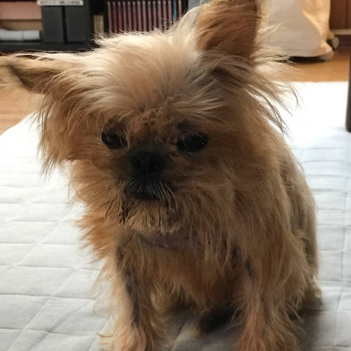 3c337584 a2bd 4d38 a9bb 21cc4765628b 1569542995560