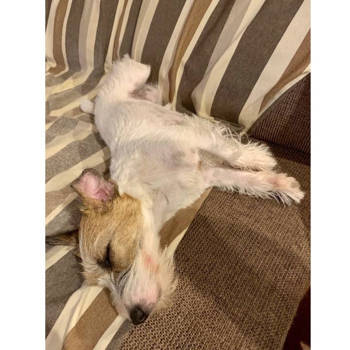 3c3385e4 44f9 488d b154 bd5ab4be262f 1600869399004