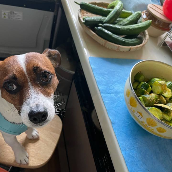 3c339aac ef57 4ce9 8f78 442ba522906c 1626314584520