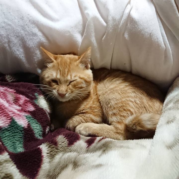 3c33ef95 e857 40e9 80c6 e357acbca7a1 1635077697595