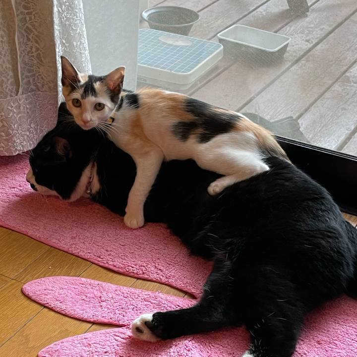 3c33f0b2 80eb 45ab 9af2 4a7668e4dff5 1659831058791