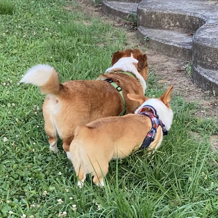 3c343111 a3ee 4e7d a693 ce0b60e07f8c 1752112833728