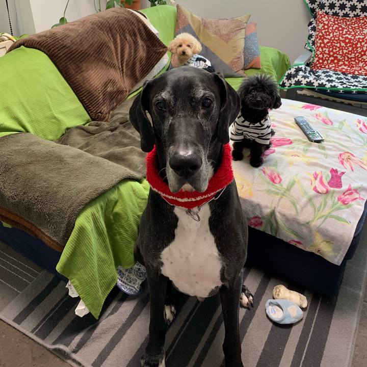 3c34327d e96c 4a0b 809d 0c05a2274c08 1551220535289