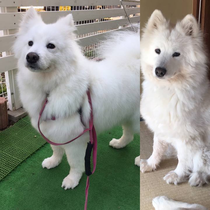 3c34654d 33ee 4bd1 84af 267d877c81c4 1550484375059