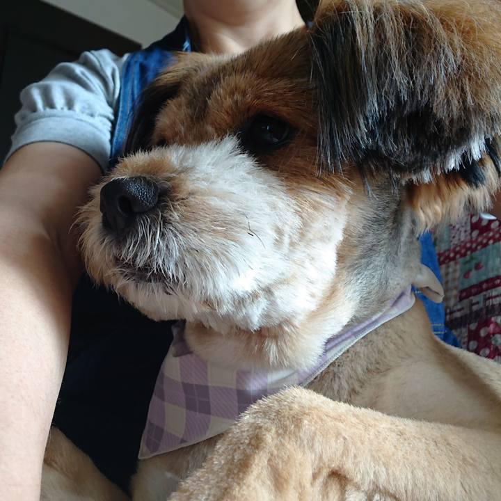 3c349f36 d603 4981 98c3 c782f82f56df 1560044051154