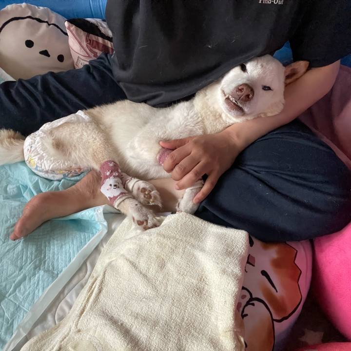 3c34da84 01de 4082 844f aa84b6687c4e 1683442468522