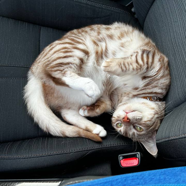 3c355154 e3b5 44a6 a7f3 0970f1f0d82d 1660512589656