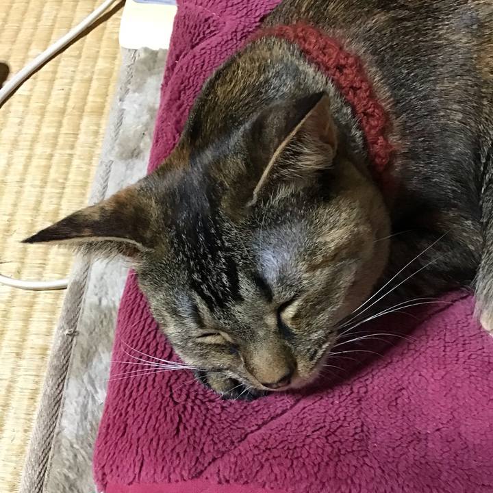 3c3559b7 4486 47be 8218 cb2b64e44146 1642500145096