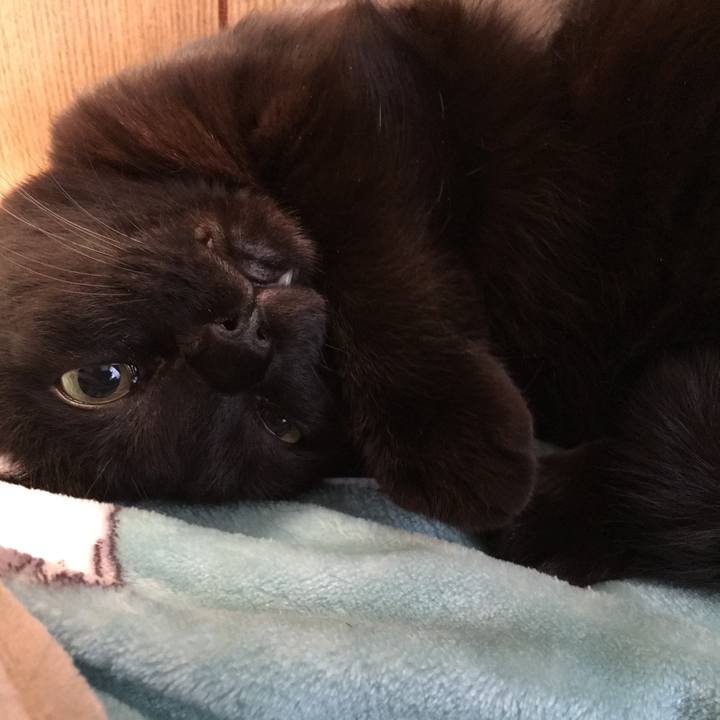 3c356260 7e18 484b 882b 23e23b92f1e8 1510007906940